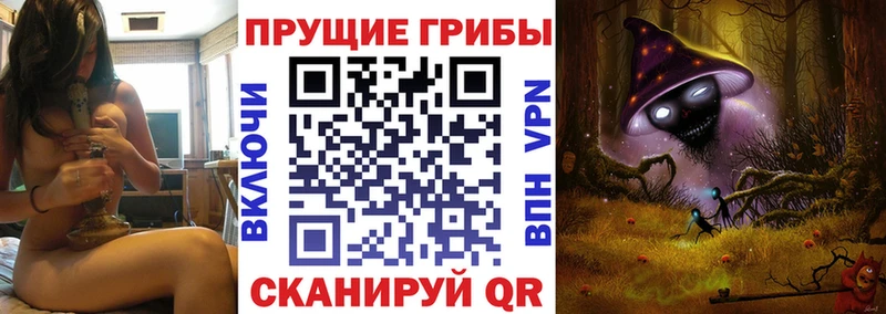 Псилоцибиновые грибы ЛСД Осташков